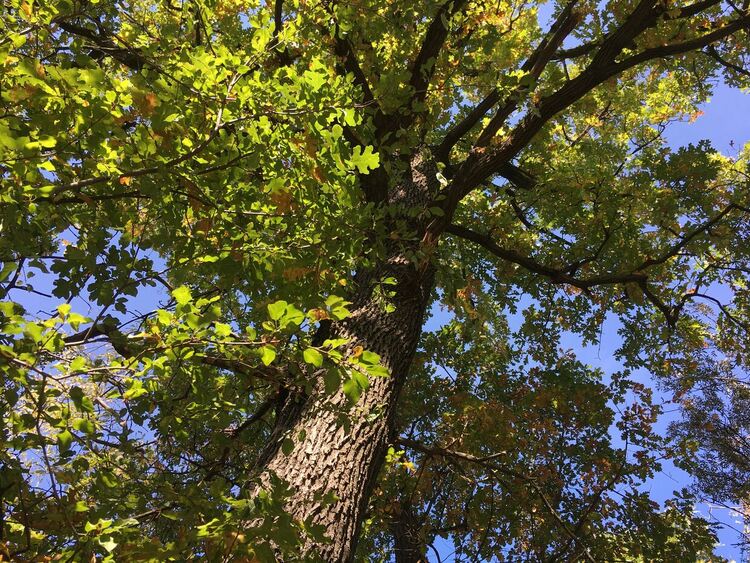 Слънчево и топло за сезона в последния ден на октомври