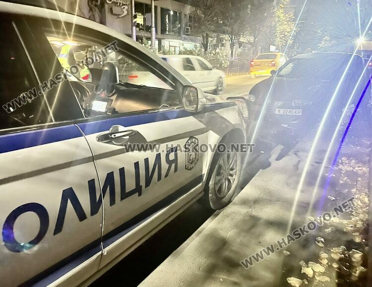 Водач на Алфа се заби в дърво и се завъртя на „Раковски“