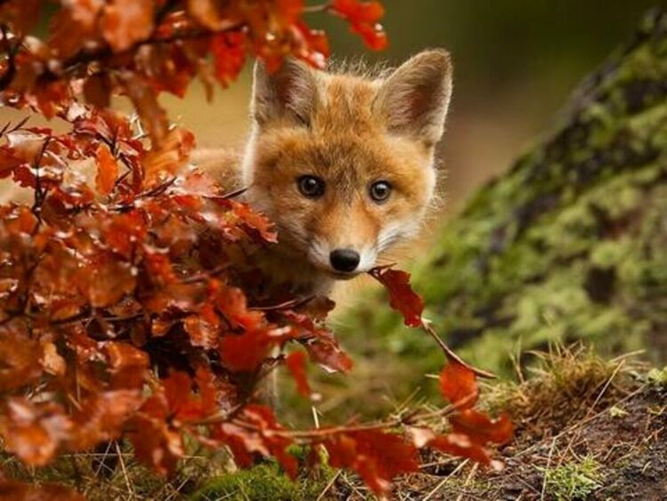 Слънчево и приятно време днес