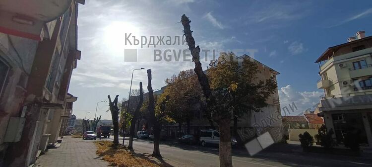 Кастрят дърветата в Момчилград,призовават шофьорите за повишено внимание