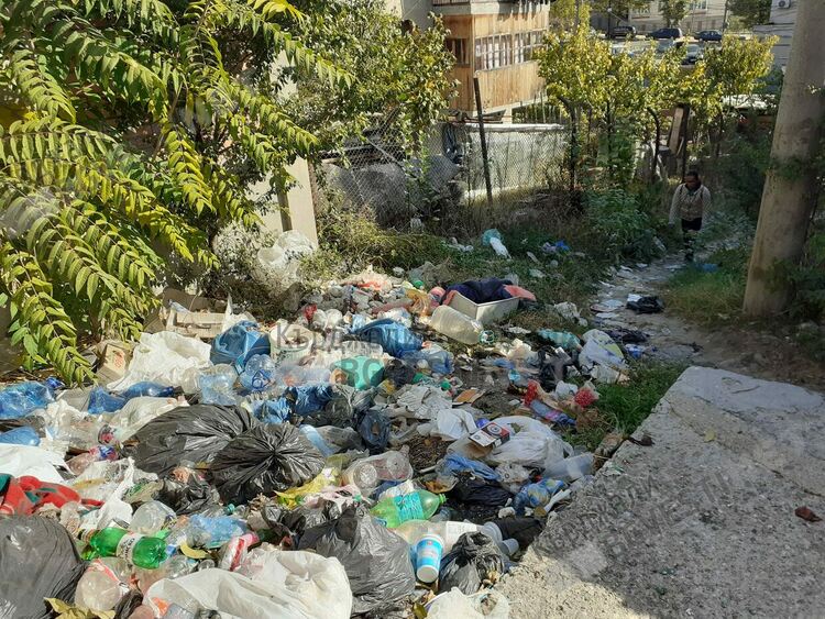 Купища боклуци насред Махалата,непоносима миризма