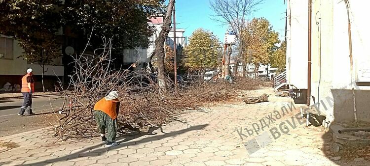 Кастрят дърветата в Момчилград,призовават шофьорите за повишено внимание