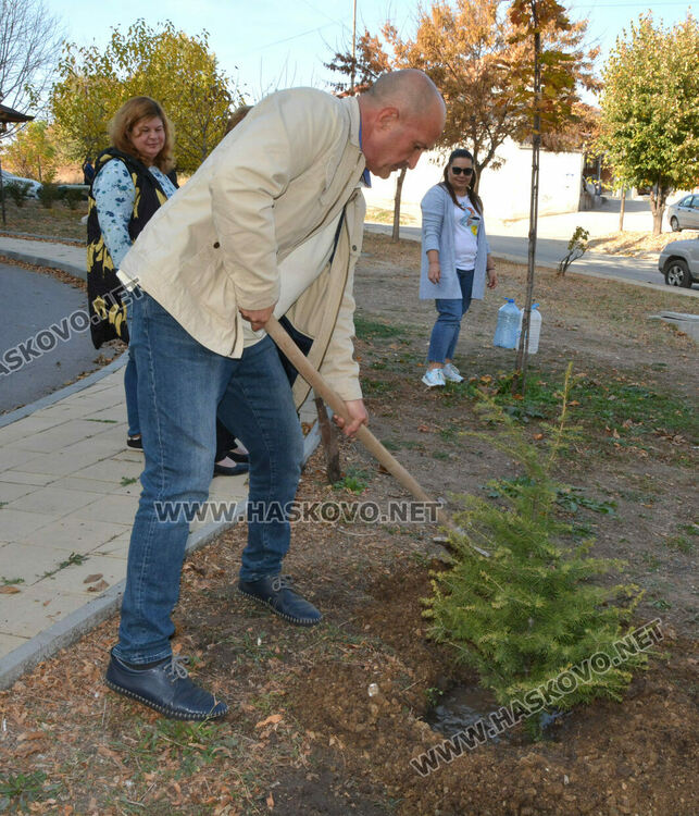 Служителите от Хасковската инспекцията по труда засадиха дървета на професионалния си празник