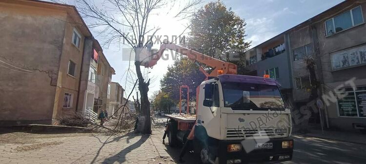 Кастрят дърветата в Момчилград,призовават шофьорите за повишено внимание