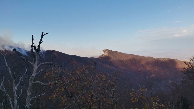 Екипи от четири пожарни служби в РДПБЗН-Кърджали и хеликоптер се включиха в гасенето на пожара на връх Вейката