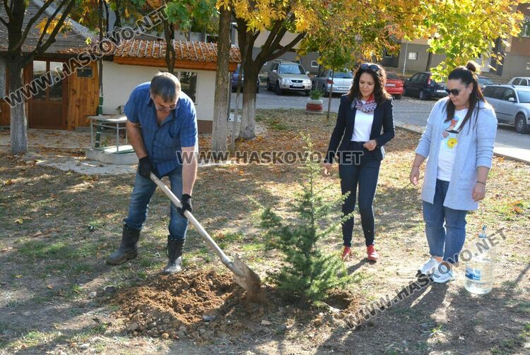 Служителите от Хасковската инспекцията по труда засадиха дървета на професионалния си празник