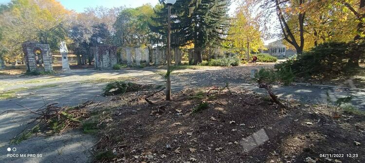 Освежават парк „Горубсо”,садят се храсти и цветя