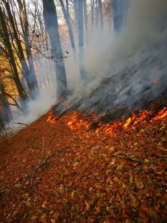 Снимка: ЮЦДП-Смолян