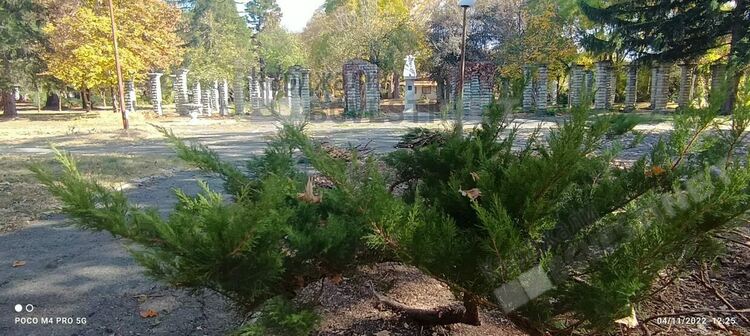 Освежават парк „Горубсо”,садят се храсти и цветя