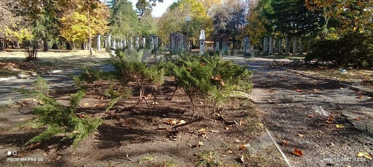 Освежават парк „Горубсо”,садят се храсти и цветя