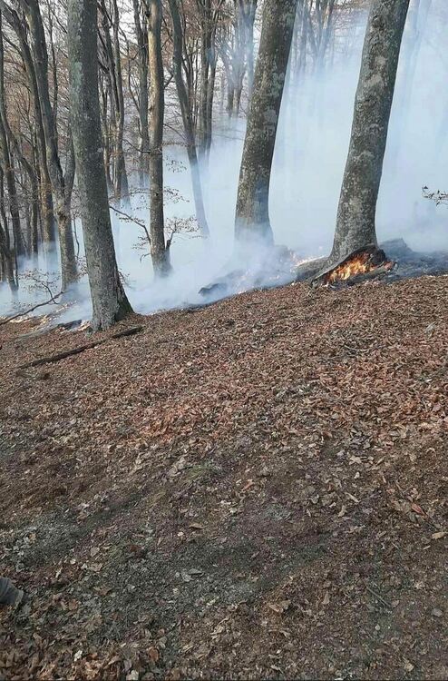 Снимка: ЮЦДП-Смолян