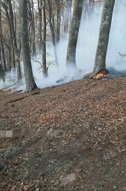 Пожарът на гръцко-българската граница обхвана 3 кв.км, засяга защитена територия