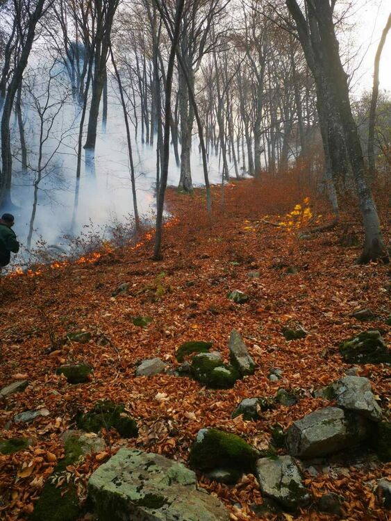 Снимка: ЮЦДП-Смолян