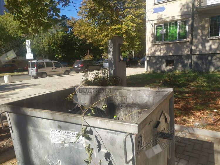 Контейнер се мъдри до паметник на дисидент в Кърджали, боклуци се изхвърлят върху историческата ни памет