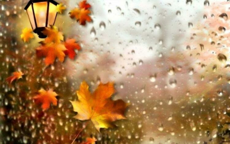 Облачно и с валежи от дъжд в неделя