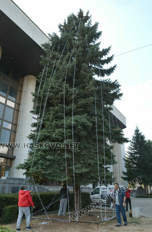 За първи път украсиха елхата пред Бизнес центъра в Хасково