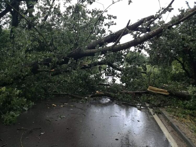 Снимката е илюстративна