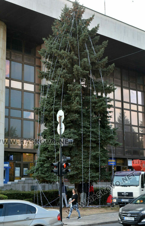 За първи път украсиха елхата пред Бизнес центъра в Хасково