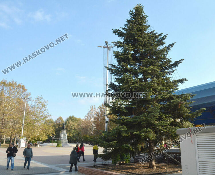 За първи път украсиха елхата пред Бизнес центъра в Хасково