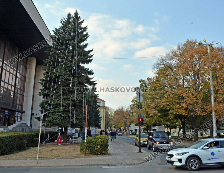 За първи път украсиха елхата пред Бизнес центъра в Хасково