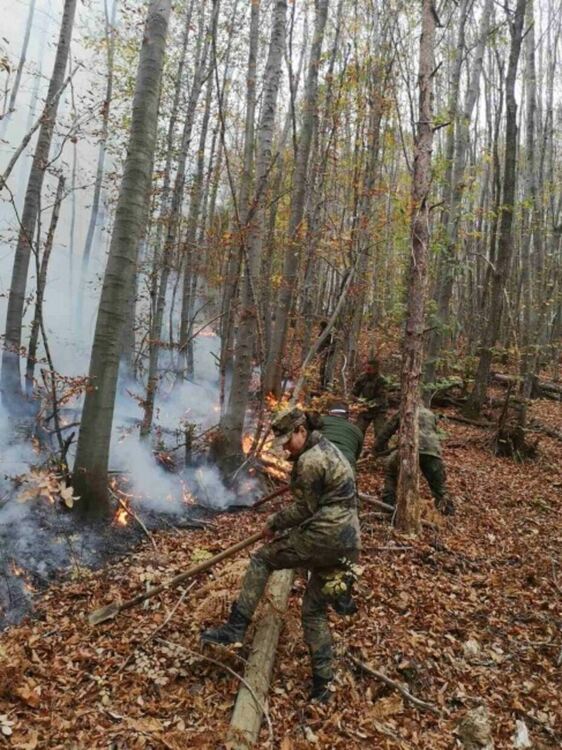 31-и механизиран батальон от Хасково помага за гасенето на пожара при Вейката