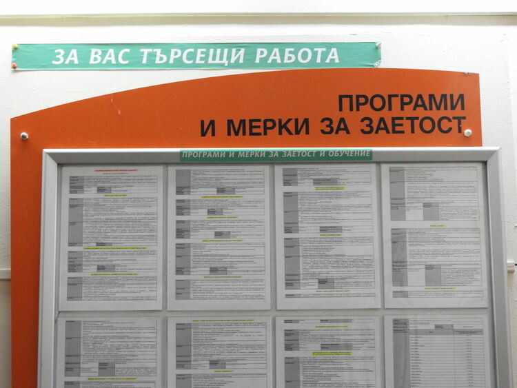 Една трета от новорегистрираните безработни в областта са от сектор "Услуги"