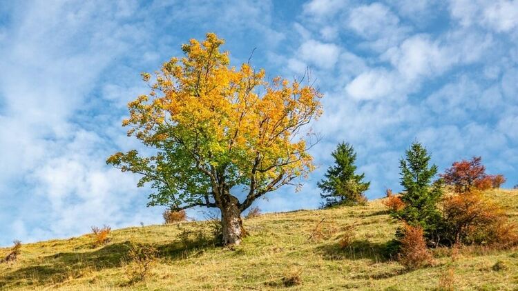 Променлива облачност във вторник