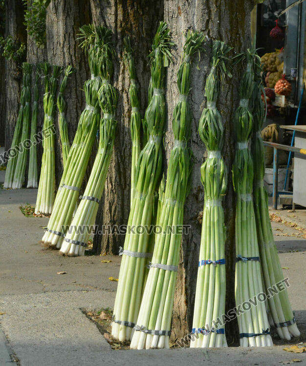 На Архангеловден пазарът в Хасково отрупан със зеле