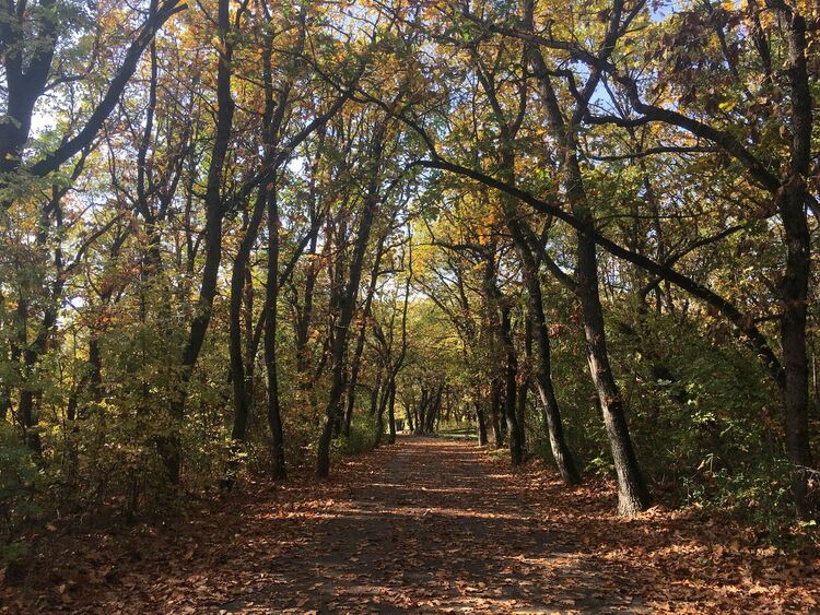 Сутрешни мъгли, сняг по върховете