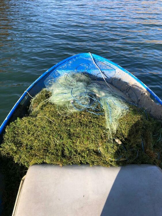 Служители на ИАРА  разкриха бракониерски улов с 360 метра хрилни мрежи в яз."Студен кладенец"