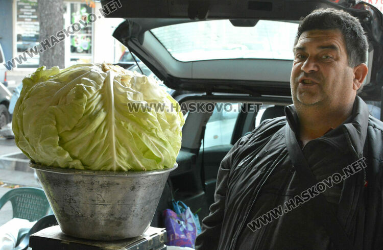 На Архангеловден пазарът в Хасково отрупан със зеле
