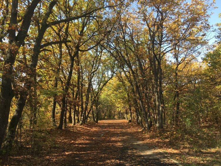 Сутрешни мъгли, слънчево следобед