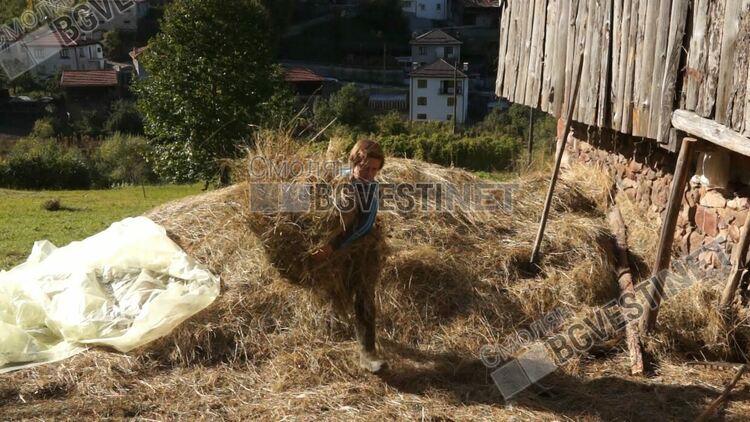 Две братчета са принудени да вървят по над 10 километра пеш, за да се приберат от училище до дома си. Община Смолян се намеси!