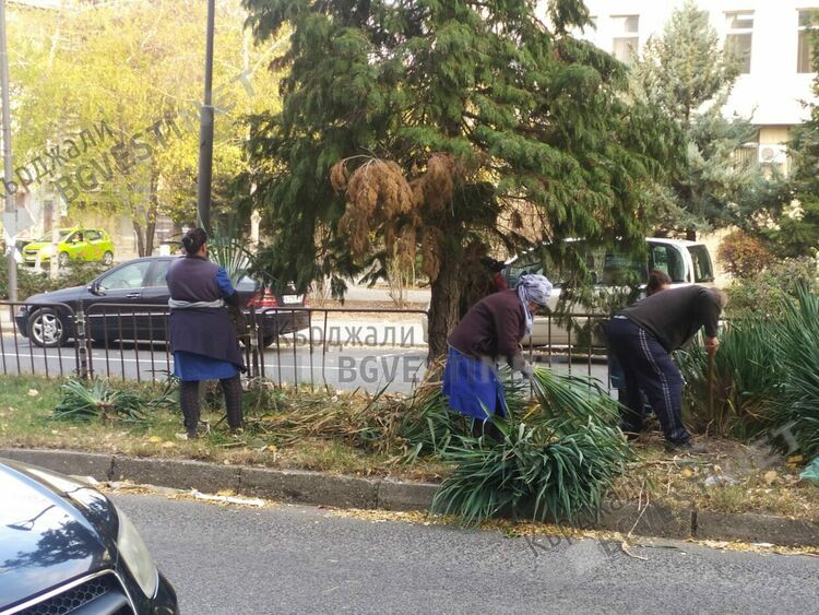 Социално слаби кърджалийци помагат за поддържането на зеленината в града