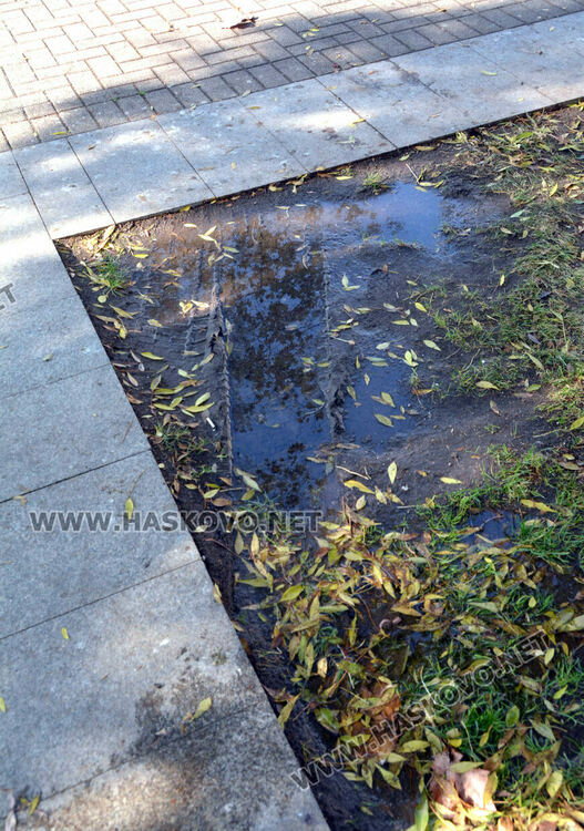 Есенна поддръжка на градинките в центъра на Хасково