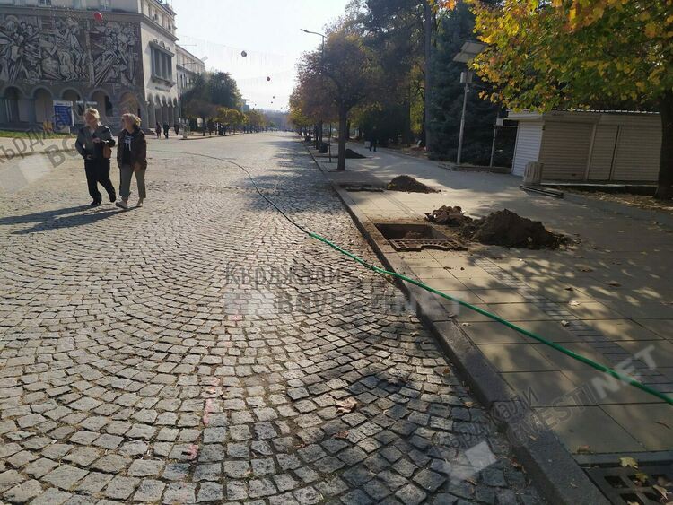 Садят нови дръвчета по бул.”България”, Общината спази обещанието си