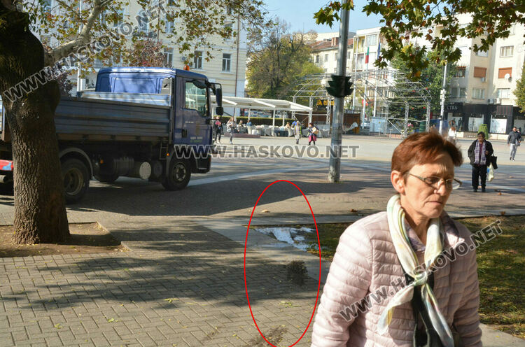 Есенна поддръжка на градинките в центъра на Хасково