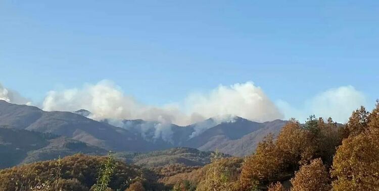 Две нови огнища на пожара по българо-гръцката граница, за сега не са се прехвърлили на наша територия