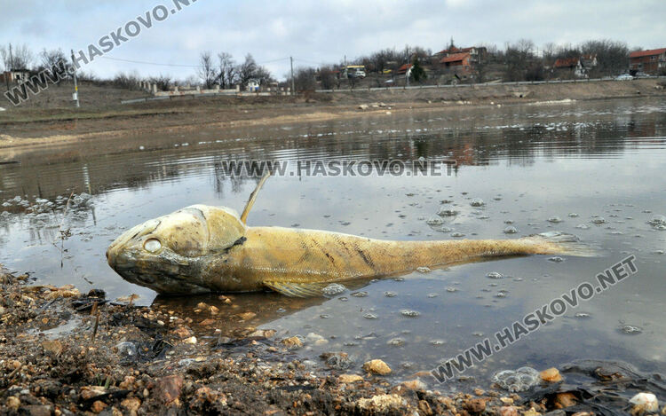 РИОСВ глоби общините Хасково и Харманли заради замърсени води