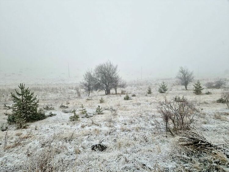 Заваля първият сняг в асеновградската община 