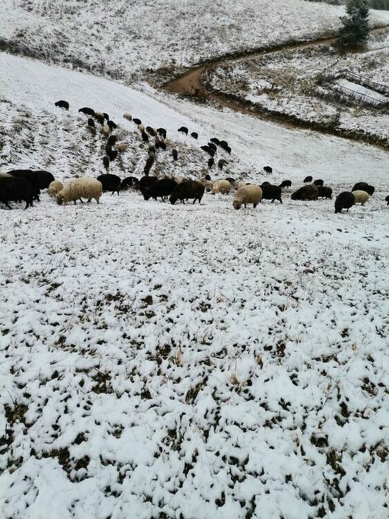Честит първи сняг! Пътищата по проходите са побелели
