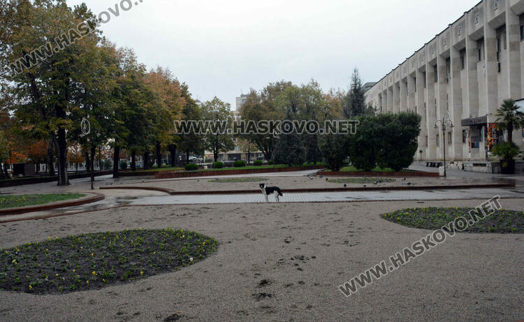 Дъждовна събота - есенна импресия