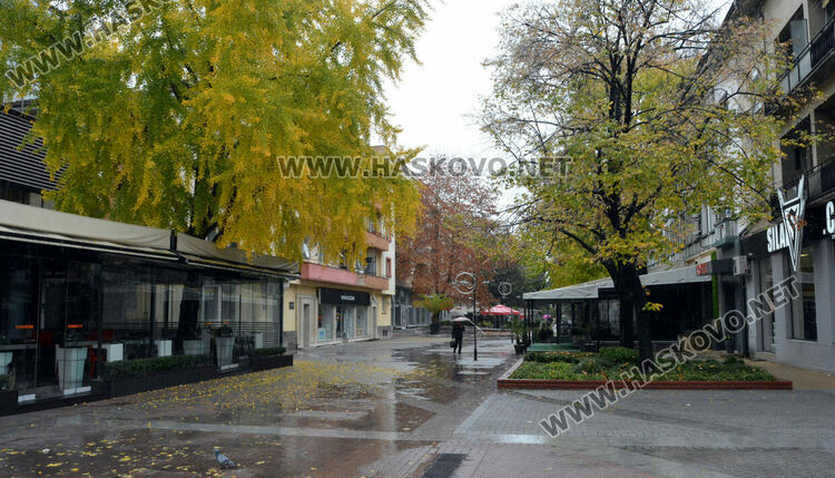 Дъждовна събота - есенна импресия