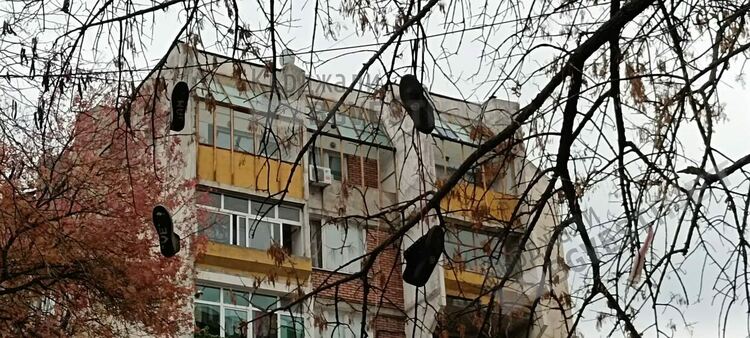   Обувки „растат” на дърво  до „Рилите”