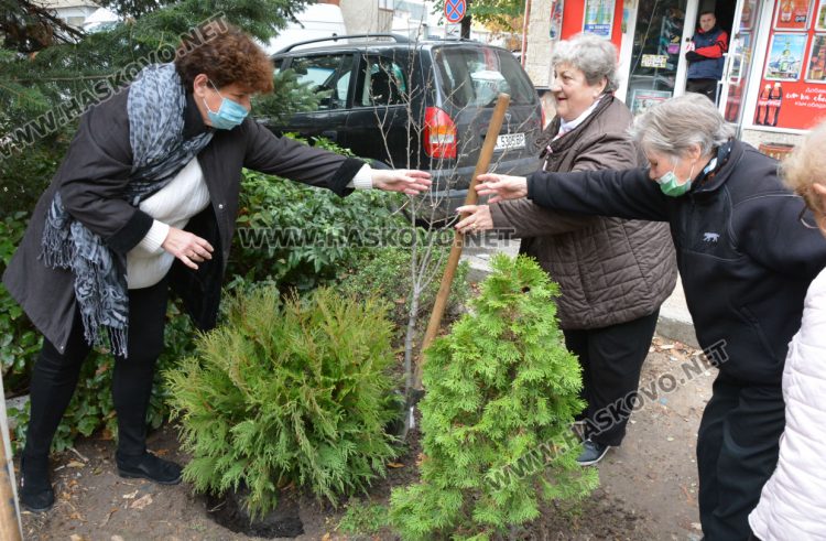 Засадиха дърво в Световния ден за борба с диабета в Хасково