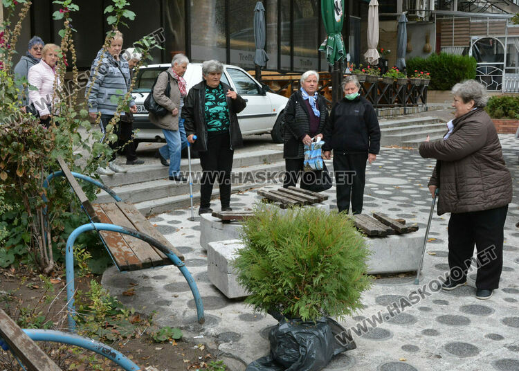 Засадиха дърво в Световния ден за борба с диабета в Хасково