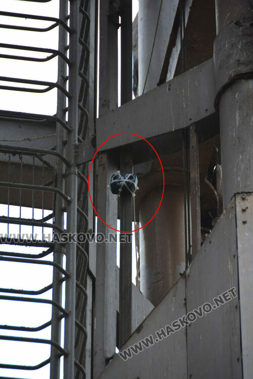 Гонят гълъбите с устройства от часовника до „Аида“ и кучетата до общината в Хасково