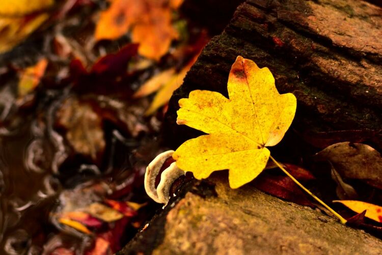 Студено време и днес