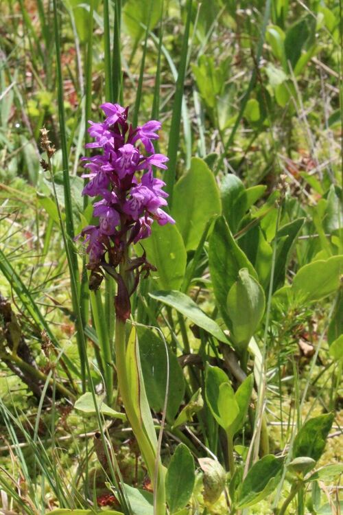 31 любители фотографи от цялата страна участваха във фотоконкурса на РИОСВ - Смолян