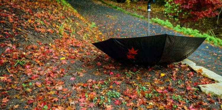 С мъгли на места в сряда